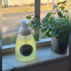 Handmade Organic Foaming Handsoap
